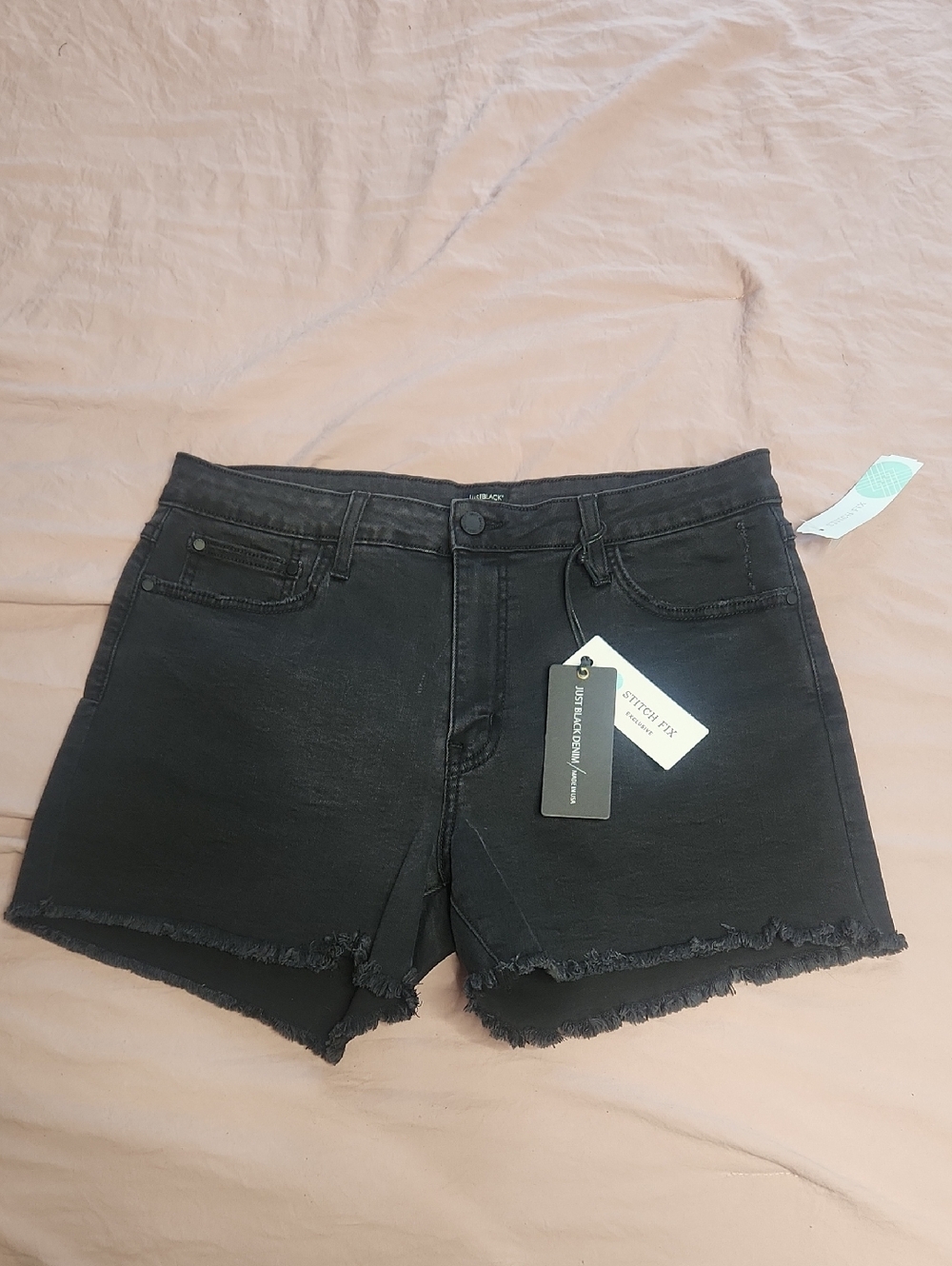 Stitch Fix Just Black Frayed Denim Shorts